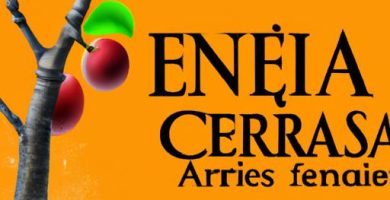 La ceniza es buena para los árboles frutales