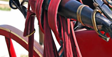 Partes de un carro de caballos