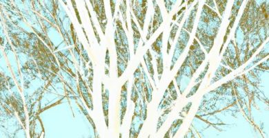 Árbol genealogico de la reina victoria de inglaterra