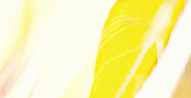 Hay oro en todos los ríos de españa