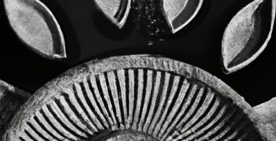 Partes de un casco medieval